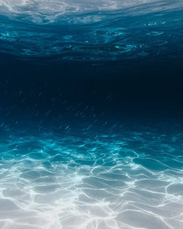 Ocean Hub International